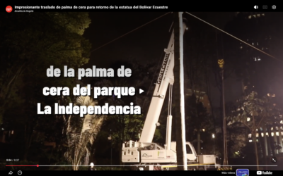 Video: Impresionante traslado de palma de cera para retorno del Bolívar Ecuestre